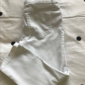 The limited 312 crop